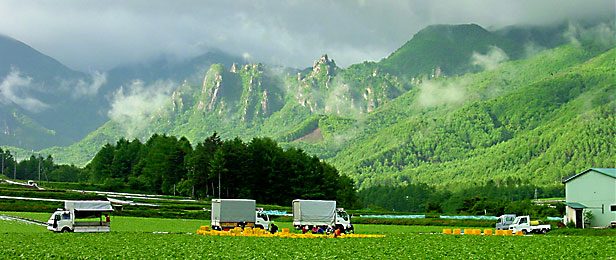 picture